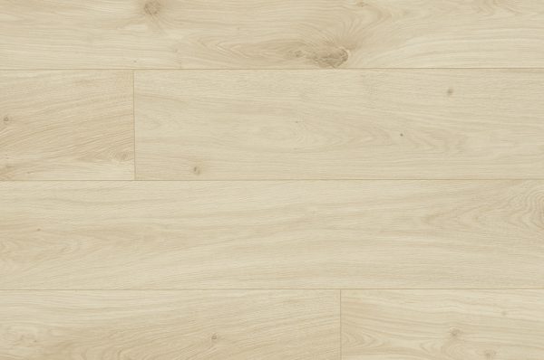 Torlys Laminate Plank Leuco Sweet Cream Oak 7-1/2" x 54-11/32" x 1/2" |12 mm Thickness