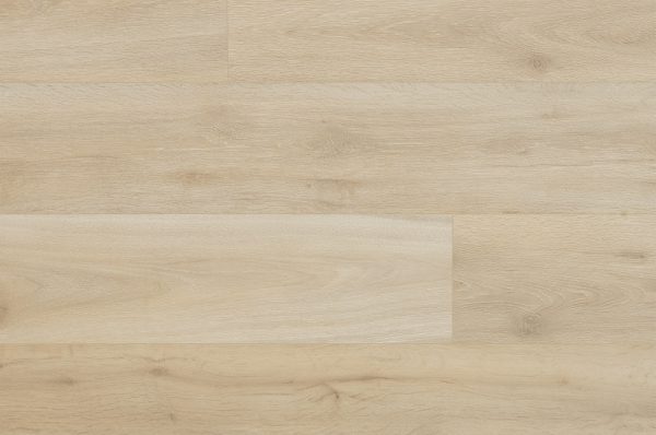 Torlys Laminate Plank Leuco Willow Oak 7-1/2" x 54-11/32" x 1/2" |12 mm Thickness